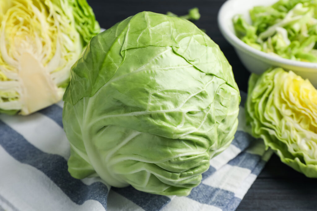 Kapusta biała – Historia, uprawa i zdrowotne właściwości w polskiej kuchni