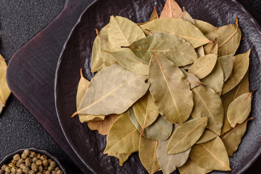 Liść laurowy – aromatyczna przyprawa i jej właściwości zdrowotne