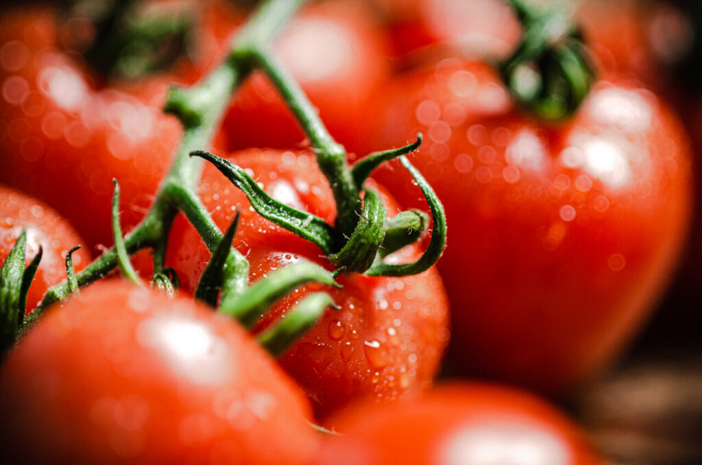 Pomidor w kulturze kulinarnej: historia, odmiany i zdrowotne właściwości